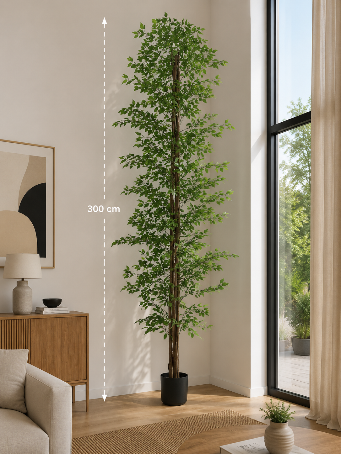 Ficus