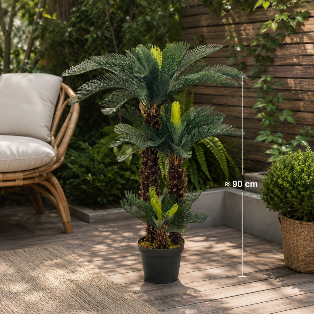Palmier Cycas Vert