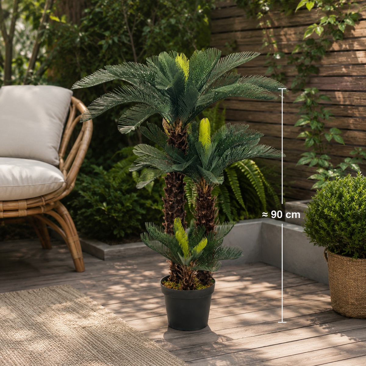 Palmier Cycas Vert