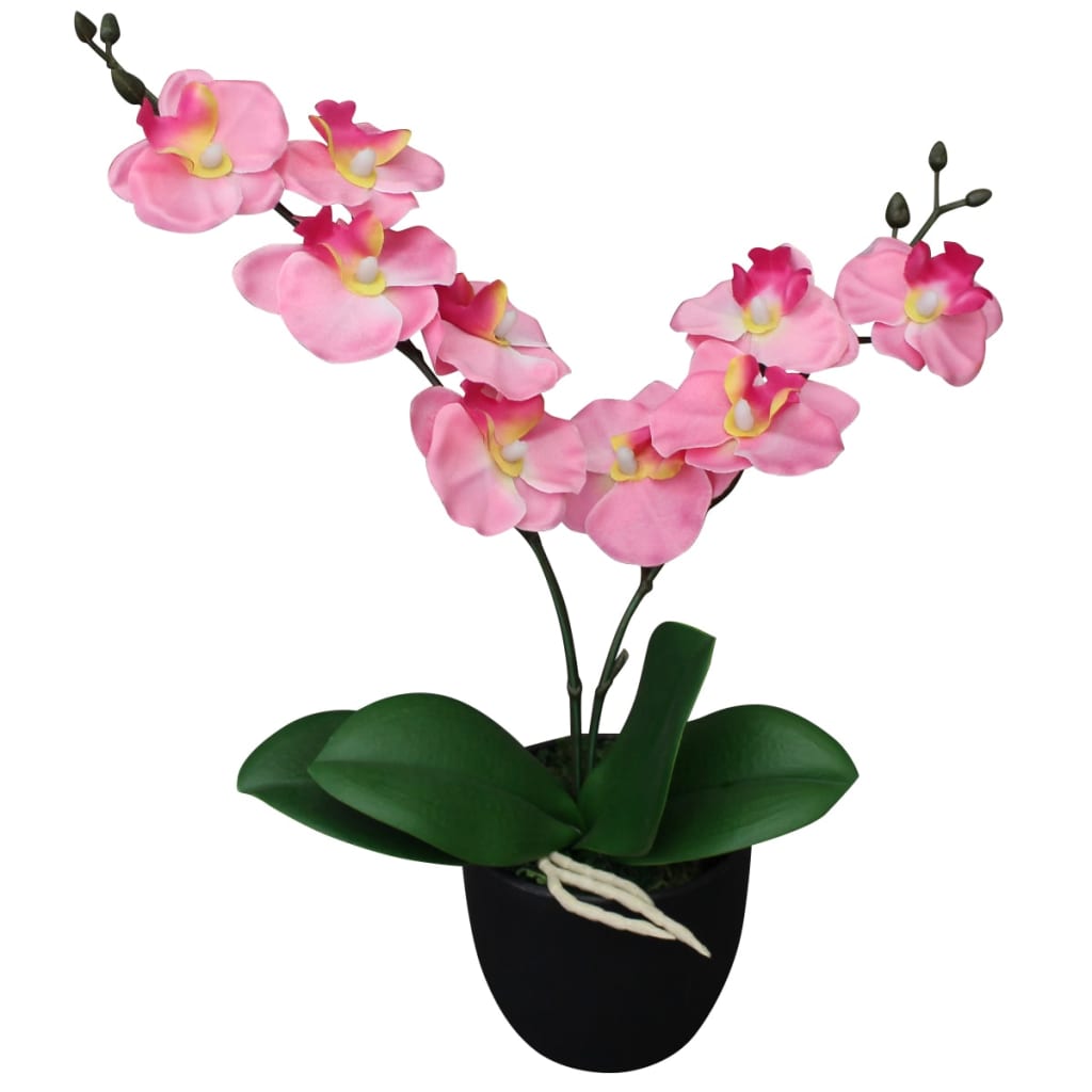 Orchidée Rose