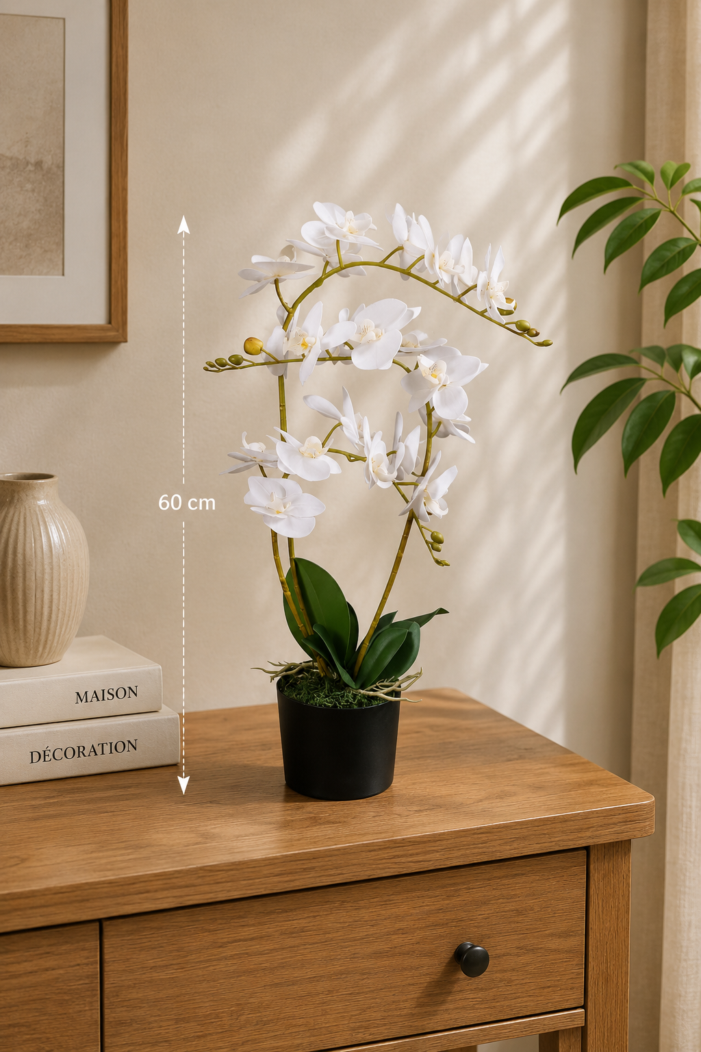 Orchidée Blanche