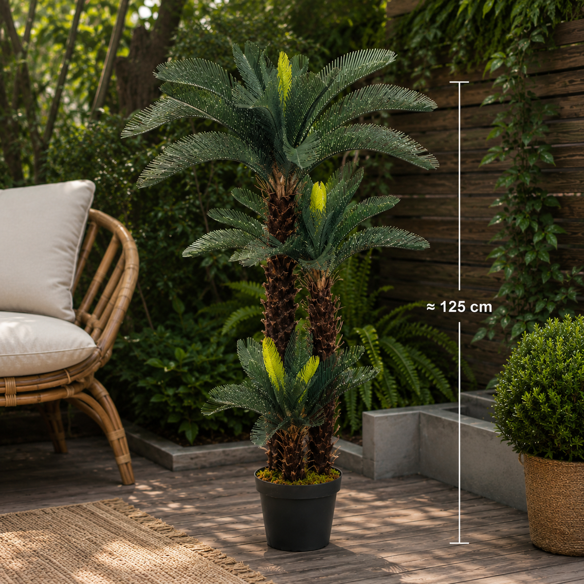 Palmier Cycas Vert