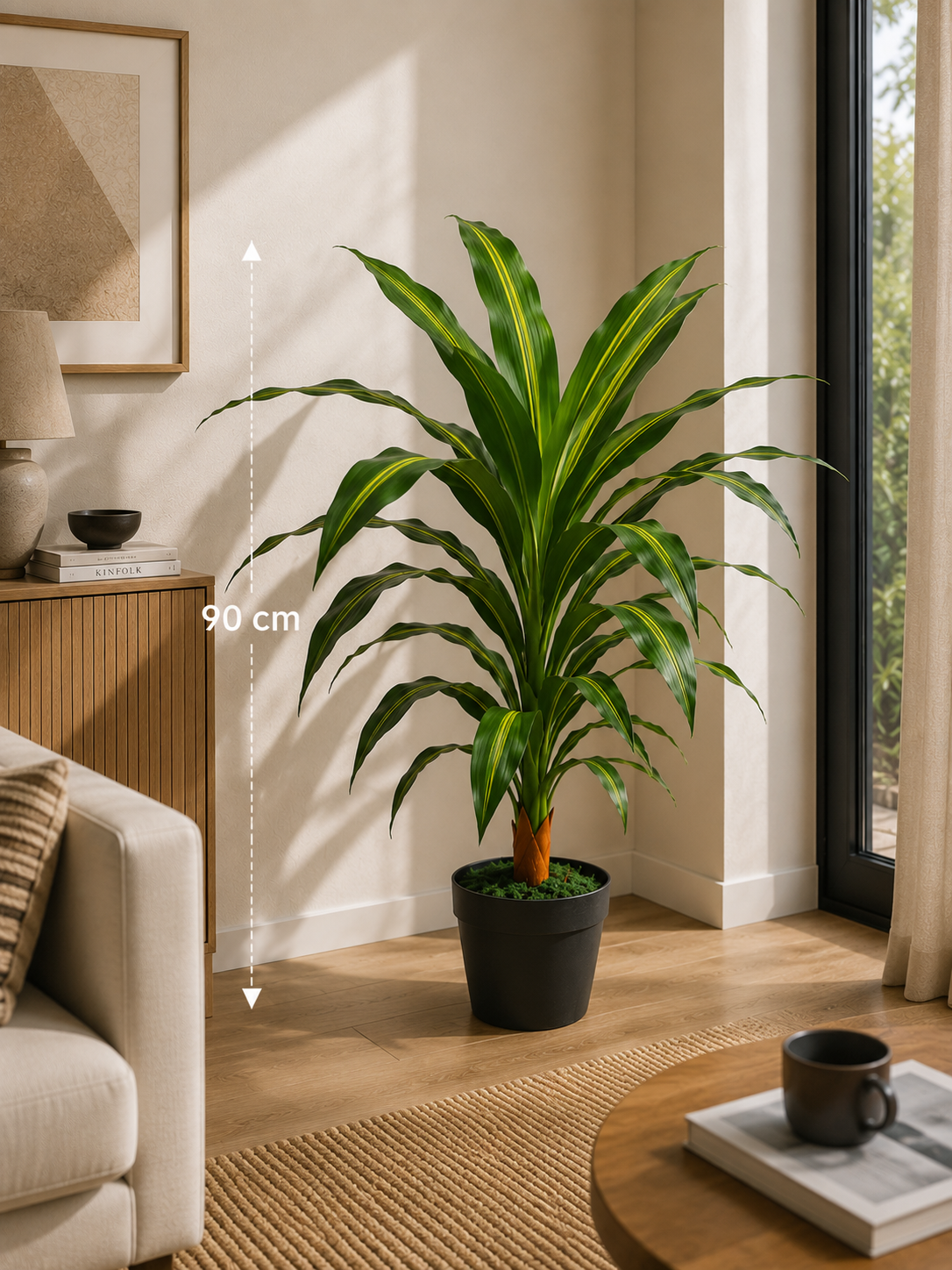 Dracaena