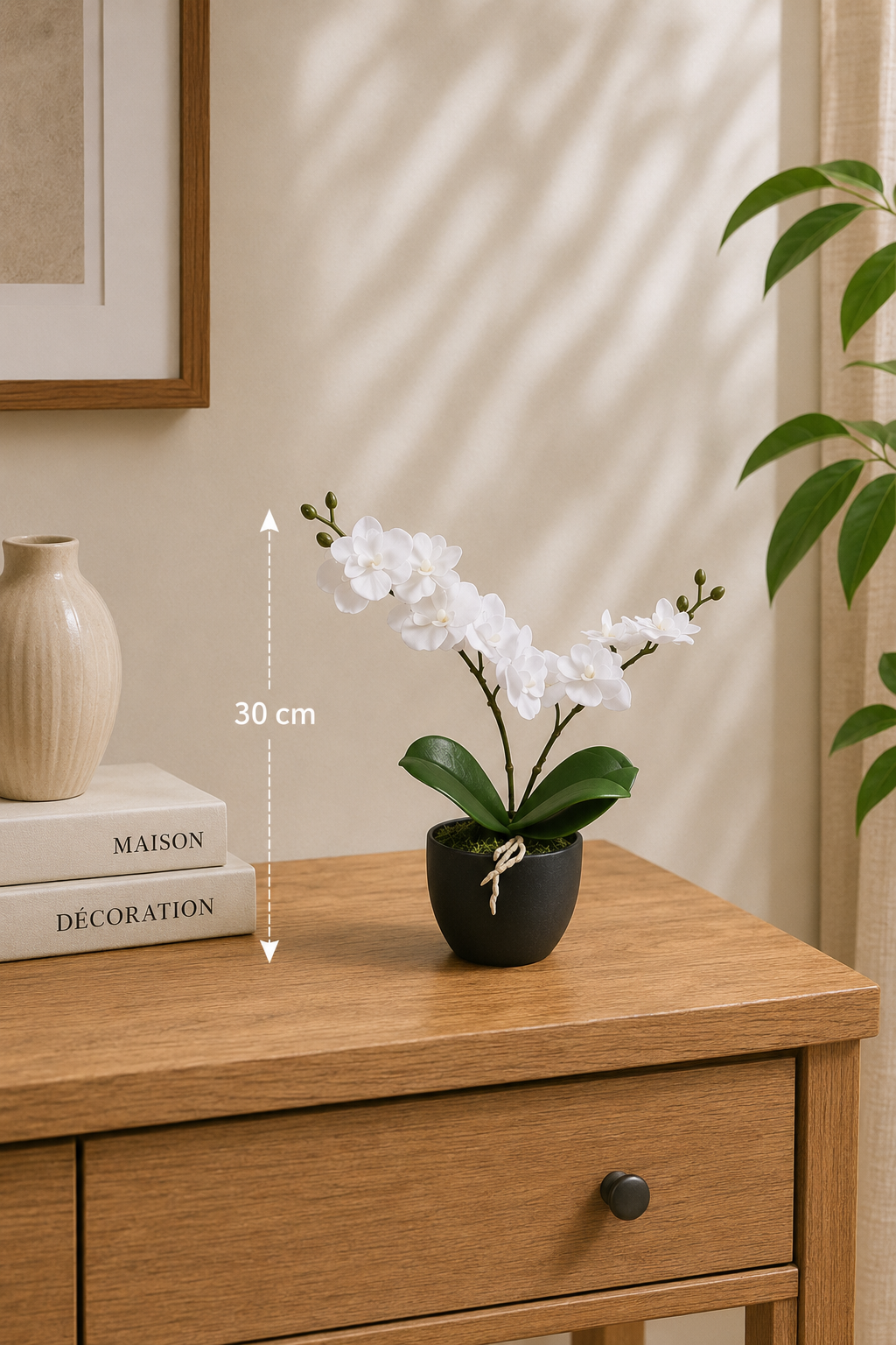 Orchidée Blanche