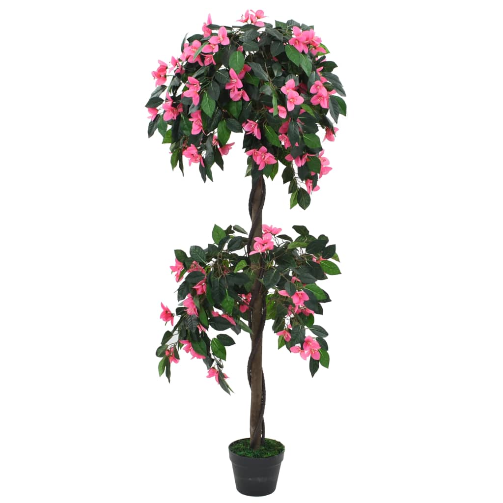 Rhododendron