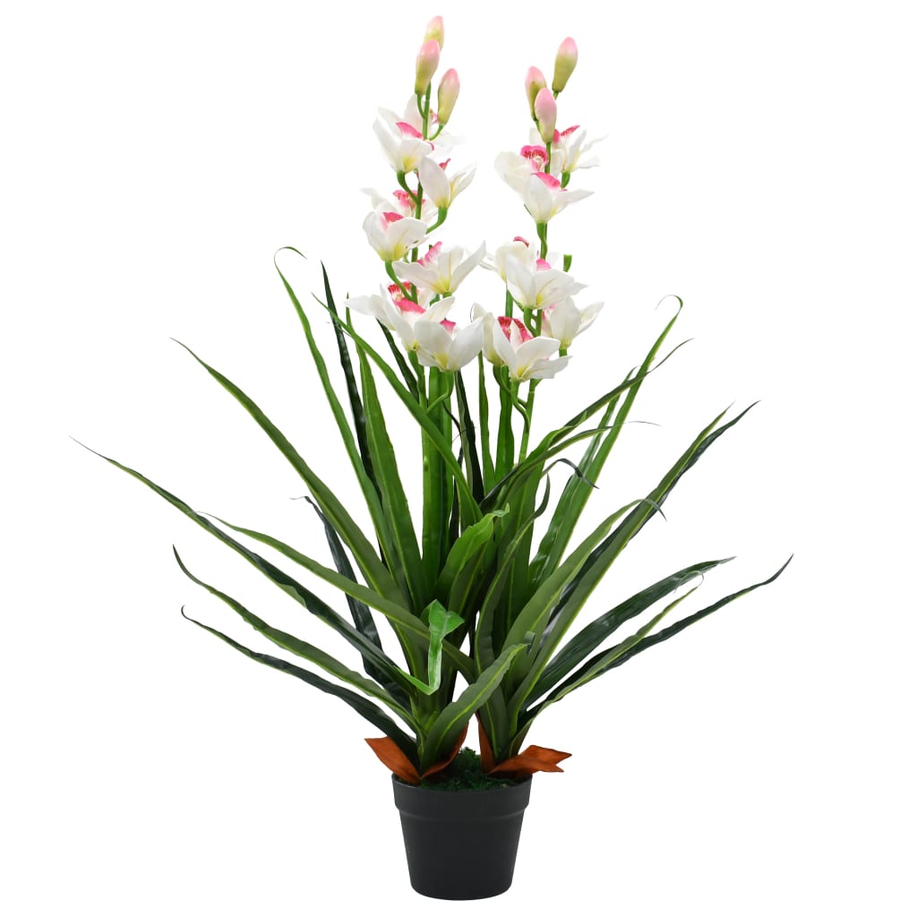 Orchidée Cymbidium