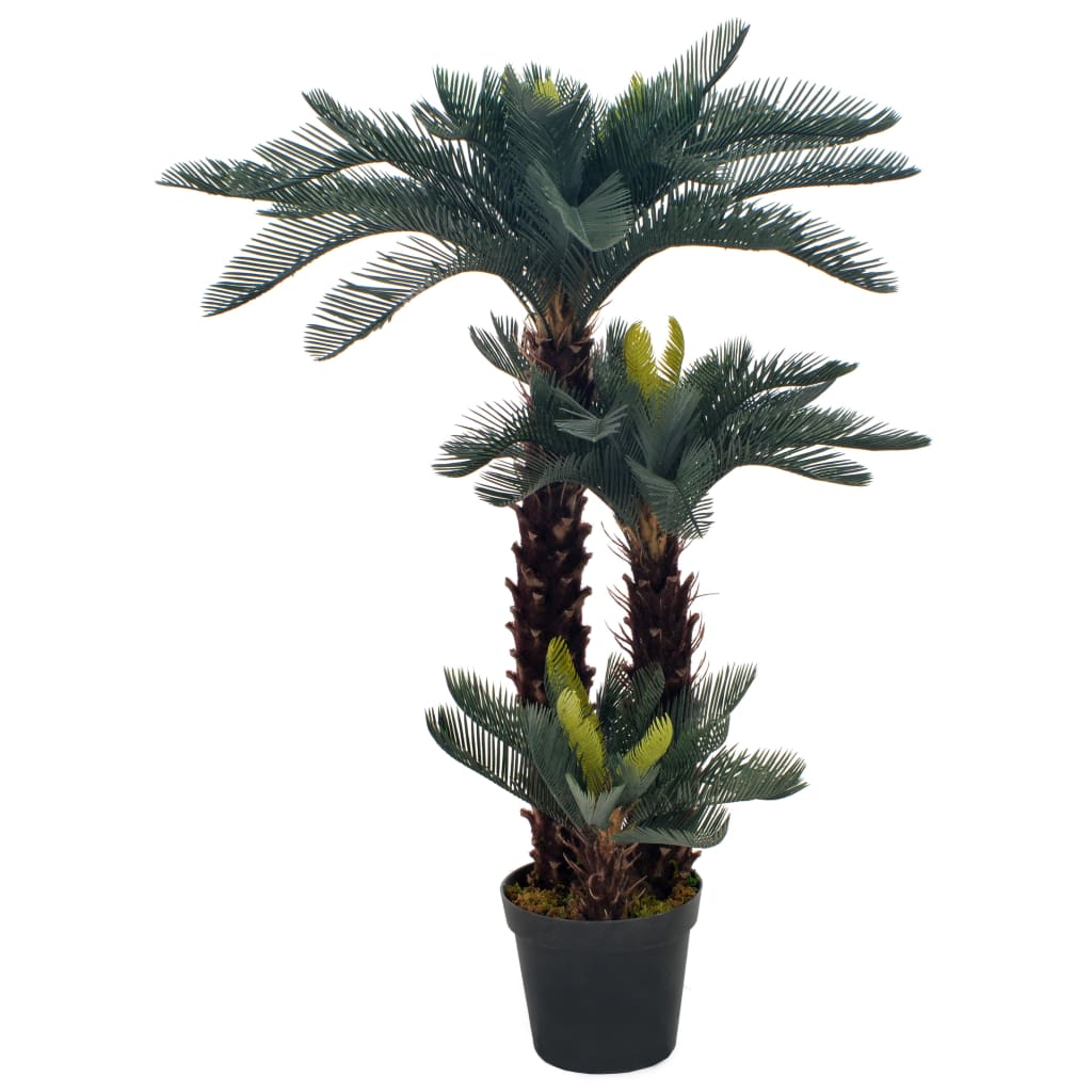 Palmier Cycas Vert
