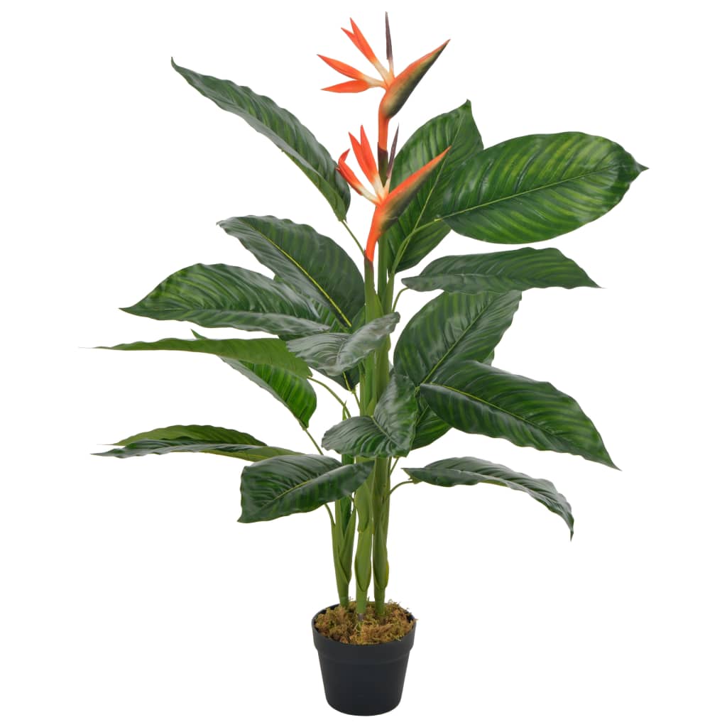 Strelitzia