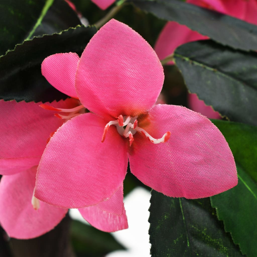 Rhododendron