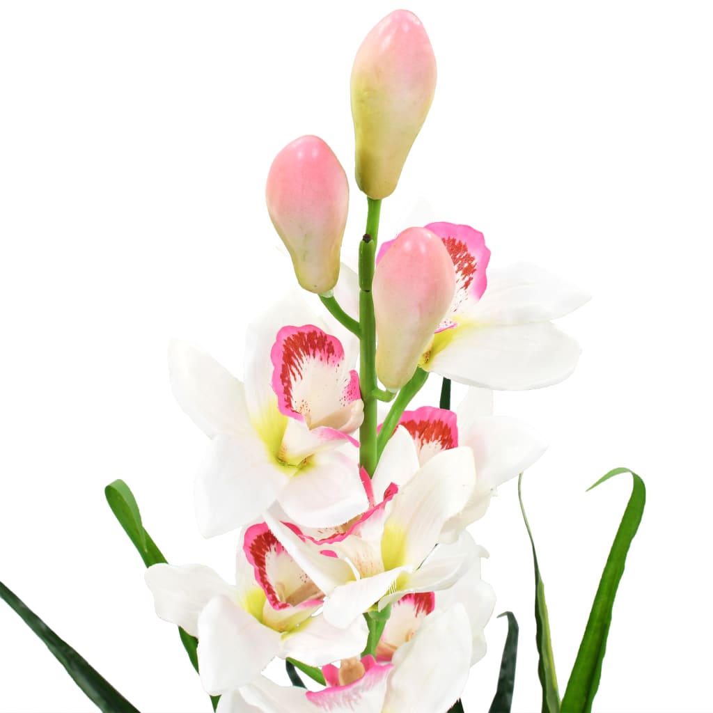 Orchidée Cymbidium