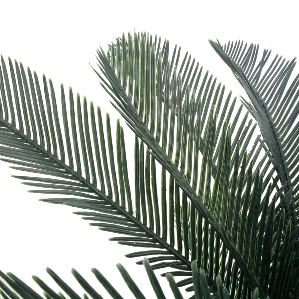 Palmier Cycas Vert